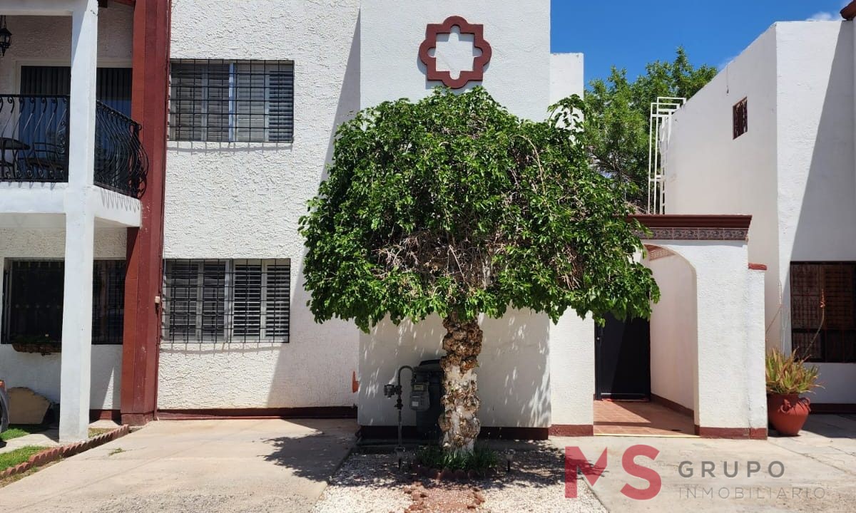 PHOTO-2024-04-19-13-14-41