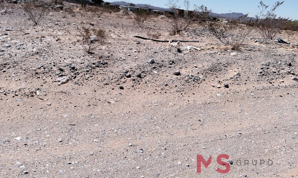 333f7e44-9ec5-4774-8b43-e03fa368faa6