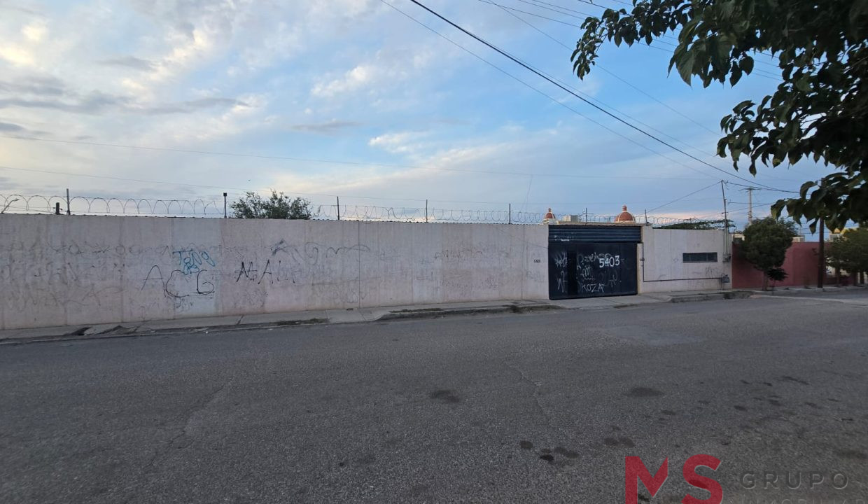 PHOTO-2026-07-03-20-16-25 (1)
